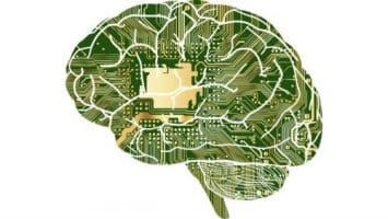 Does Disease have Memory Effects? Ascot