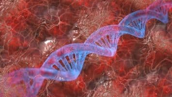 Learn about Karyotype issues Ascot