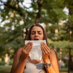 Allergy or other Options: Which is best? Ascot