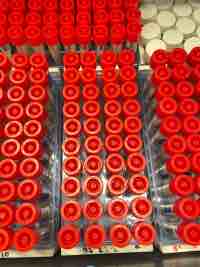 Escorts have high or low-risk infections and some don’t