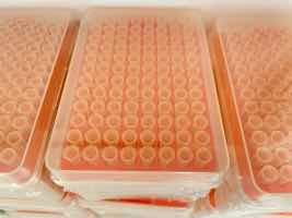 A huge given is the rise in rates of oral cancers in Ascot